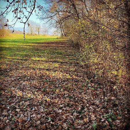 Apartman Apartma Dreamscape *