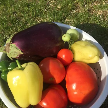 Apartma Dreamscape Radovljica