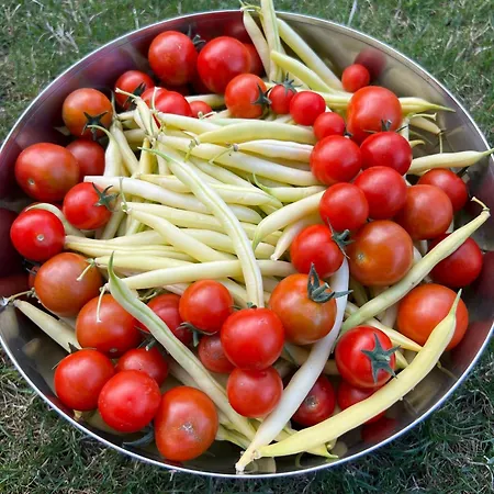 Apartma Dreamscape ラドヴリツァ