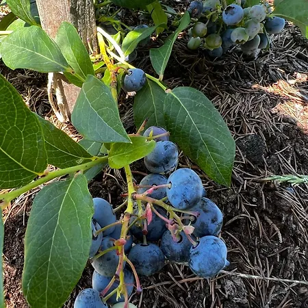 Apartma Dreamscape Apartament