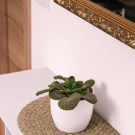 Apartma Dreamscape アパート