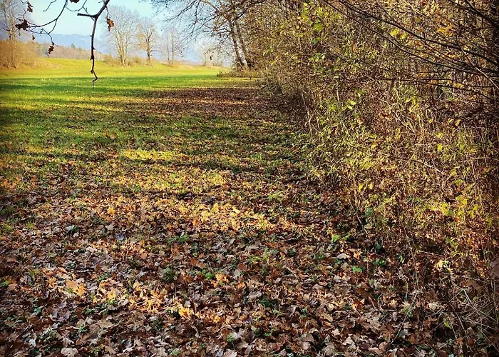 Apartmán Apartma Dreamscape *