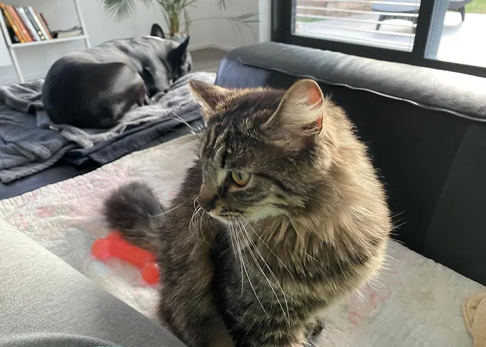 Apartmán Apartma Dreamscape Radovljica