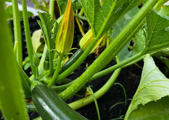 Apartmán Apartma Dreamscape Radovljica