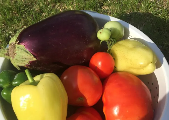 Apartma Dreamscape Radovljica