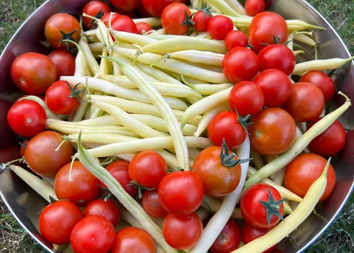 Apartma Dreamscape Radovljica