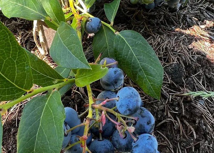 Apartma Dreamscape Apartmán